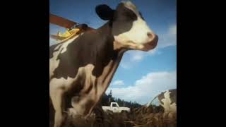 Hope County Edit Far Cry 5