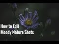 Lightroom Tutorial: How to Edit Moody Nature Photos