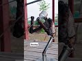 "Real Life Real Steel?" | Don't Mess With This Robot! 🥊 #shorts #trending #diy