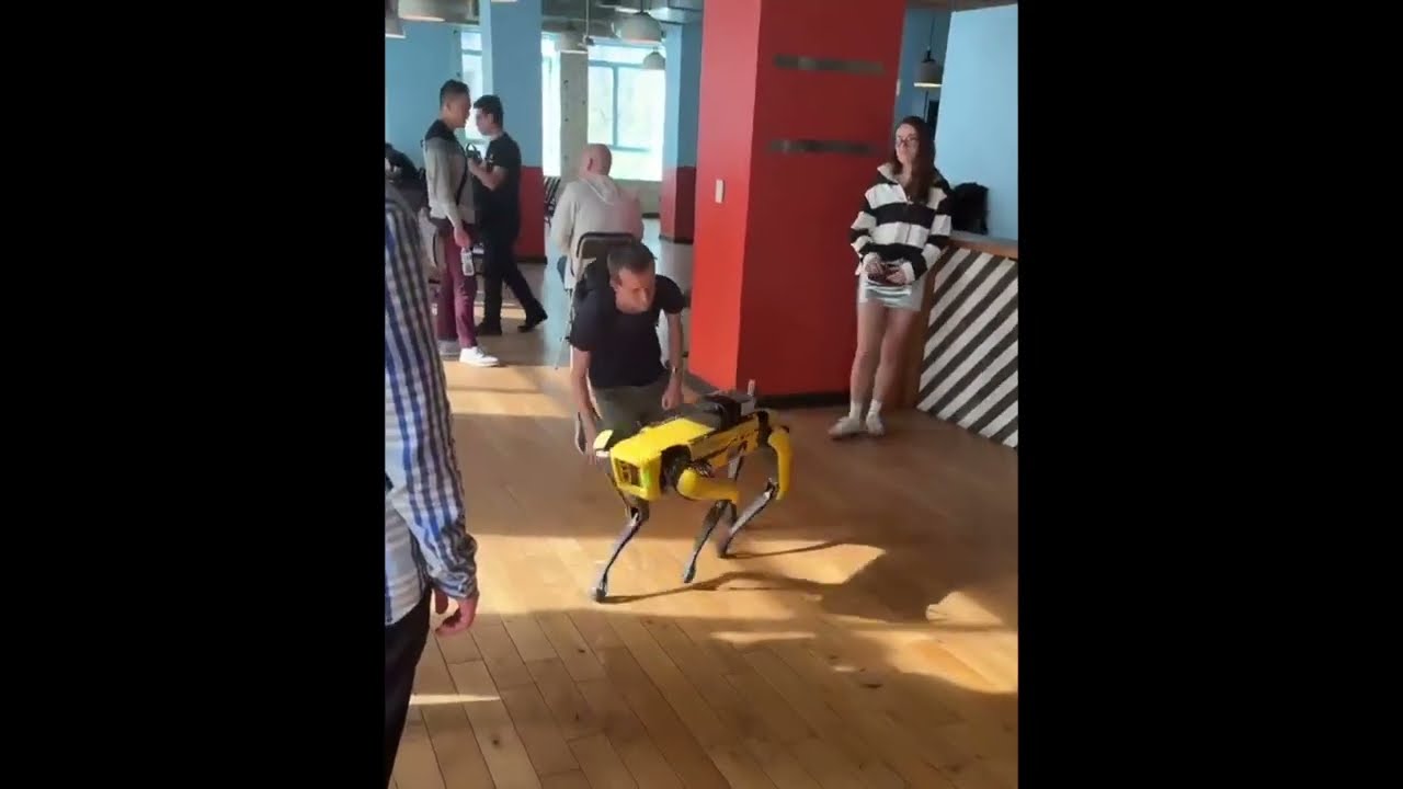 ETH King Vitalik Buterin meows at robot dog - Ethereum's quirky moment!