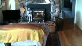 Liza's House