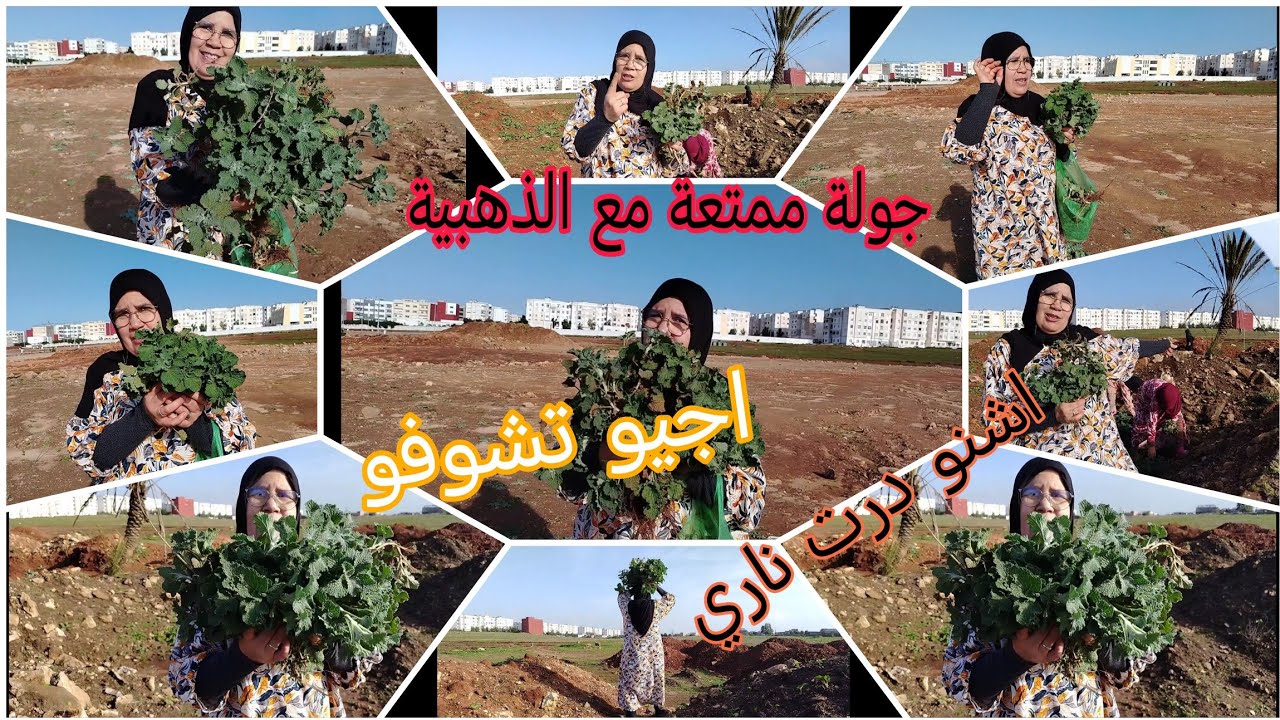 #عشبت_مريوت_احسن_عشبة_مع_ماما_الذهبية#جولة مع الذهبية اجيو تشوفو اشنو لقيت 🫣🤔