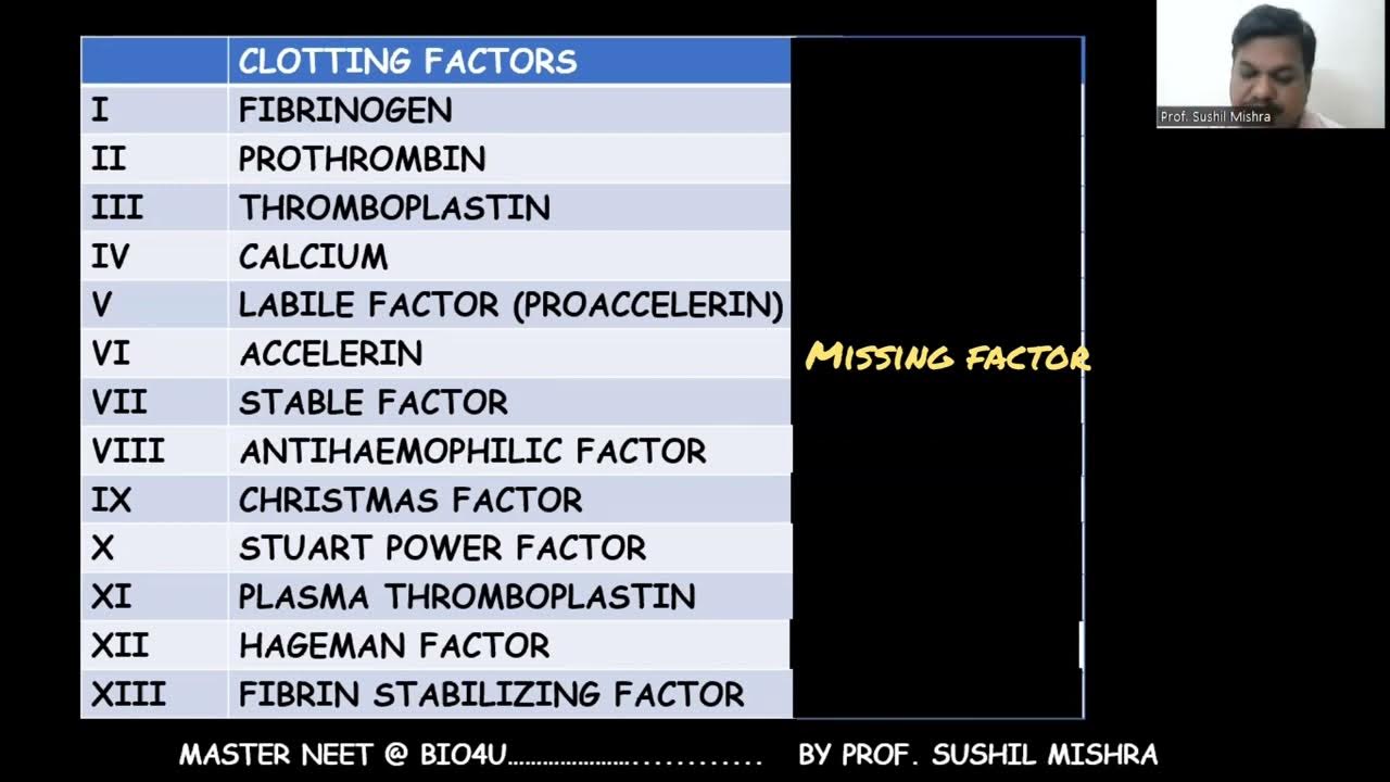 Clotting Factor Mnemonic YouTube