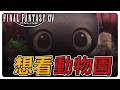 《FF14繁中》能看到動物園嗎？！零式阿卡狄亞 次重量級M5S 占星視角 #繁中豆芽 #秋芽說 #ffxiv  【台灣Vtuber】