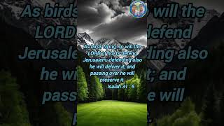 Praise Be To God Bible Verse, The Lord Is My God ,Jesus Is The Life,Christu Raja Resimi