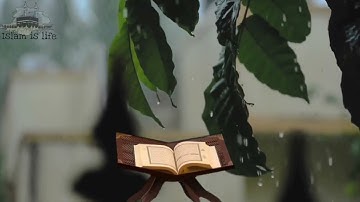 وليد ابراهيم الفلوجي سورة البقرة-Walid   Ibrahim Al-Falluji Surah Al-Baqarah