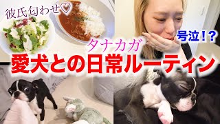 彼氏できたての相方の日常にアフレコしてみたwww（タナカガver.）