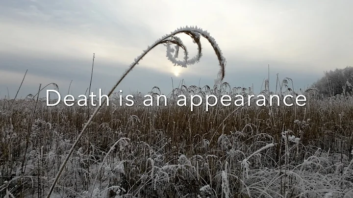 Death is an appearance.
