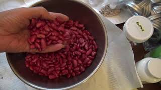 KIDNEY BEAN GROWING & CANNING **SECRET TIPS**  (OAG)