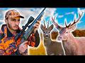 Chasse en Battue des Cervid&eacute;s : Cerfs et Chevreuils ! (saucisses maison &agrave; la fin)