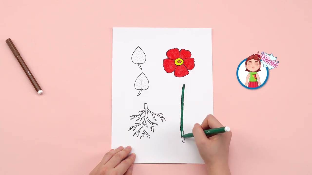Mô hình các bộ phận của cây