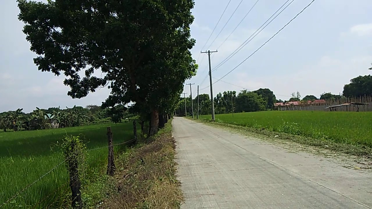 FOR SALE 4 Hectares FARMLAND in Floridablanca, Pampanga YouTube