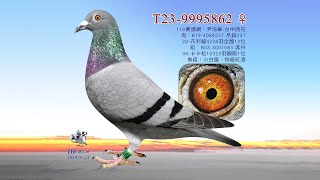 【尹培華】T23-9995862