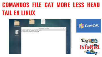 📜 Cómo Ejecutar los Comandos file, cat, more, less, head y tail en Linux 🐧