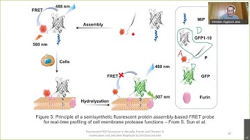 Talk: Fluorescent FRET Biosensor (2/2) Discussion