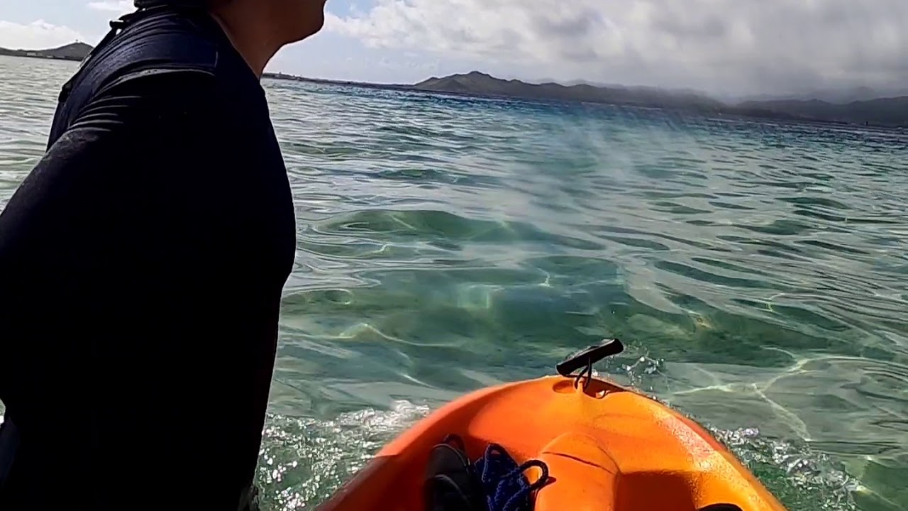 Kayaking to Kaneohe sandbar Oahu YouTube