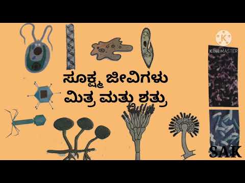 ಸೂಕ್ಷ್ಮ ಜೀವಿಗಳು ಮಿತ್ರ ಮತ್ತು ಶತ್ರು