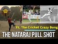 The nataraj pull shot ft the cricket crazy bong  from kapil dev to washington sundar 