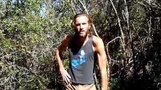 Travel update from California