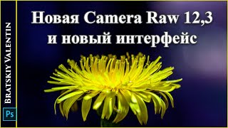 Новая Camera Raw 12,3 и новый интерфейс