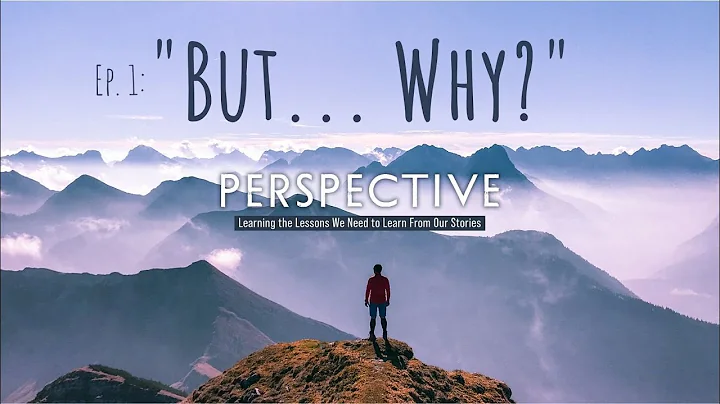 Perspective, Session 1 // "But... Why?"
