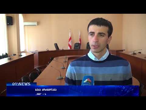 გორის მერს 3-ს ნაცვლად ორი მოადგილე ეყოლება 16.02.2018