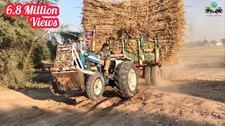 Ford tractor malik cane contractor Chiniot