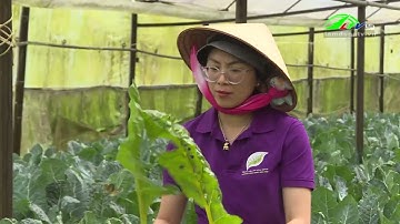 Đẩy mạnh liên kết sản xuất nông nghiệp, tăng cường chế biến sâu  I Lâm Đồng TV