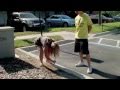 HOW TO PISS IN PUBLIC: For Women