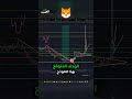 شيبا اينو Shiba Inu توقعات مذهلة لسعر العملة 