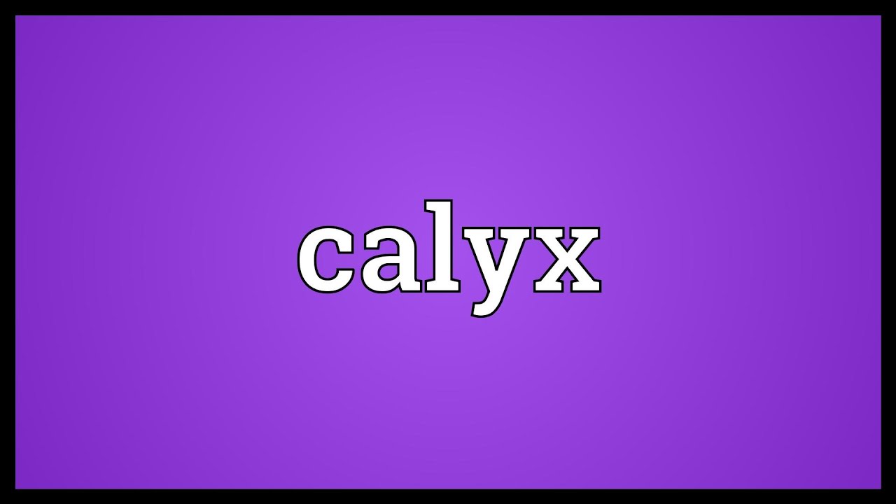 Calyx Meaning Youtube