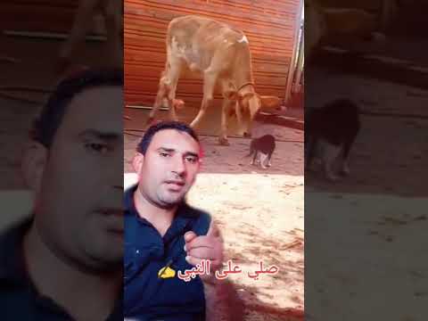 اوعي تتغر بنفسك