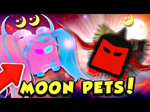 We Had A Shiny Moon Pet Battle In Roblox Saber Simulator - noob lar korku asansorune geldi roblox turkce youtube