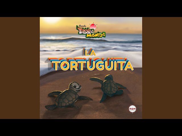 Banda Tierra Mojada - La Tortuguita
