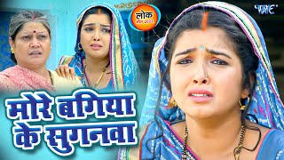 मोरे बगिया के सुगनवा - Nirahua & Amarpali Dubey का रुला देने वाला विडियो | Bhojpuri Sad Song screenshot 5