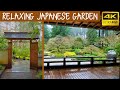 Rainy Day Walk Thru Portland Japanese Garden in 4k (no talking)