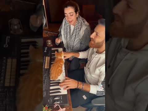 يا طير سنونو سلملي على عيونه لمي شريف كليب 