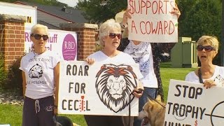 Dentist who killed Cecil the lion returns to work