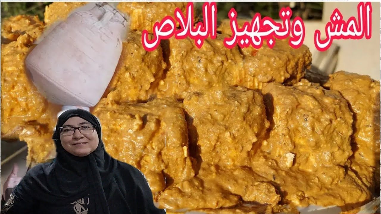 المش وتجهيز البلاص وتوتيكه بالطريقة الصحيحة 🧉 خميره المش بدون افتكاسات ولا حوارات 😂