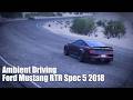 Ambient Driving | Ford Mustang RTR Spec 5 2018 | Forza Horizon 5