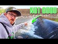 I DID NOT Want To Catch The SPILLWAY MONSTER Like This!!! (Had To Go Swimming)