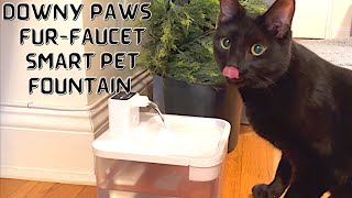 DOWNYPAWS FUR-FAUCET Smart Pet Water Fountain review by Ziggy And Zelda 3,236 views 1 year ago 5 minutes, 57 seconds