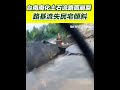 台南大雨災情