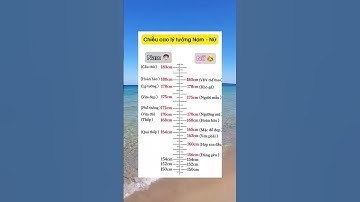 Chúc cả nhà buổi tối vui vẻ