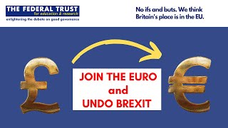 Join the Euro, Rejoin the EU