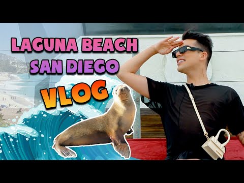 DENİZ ASLANLARININ İÇİNE GİRDİM! LAGUNA BEACH - SAN DIEGO VLOG