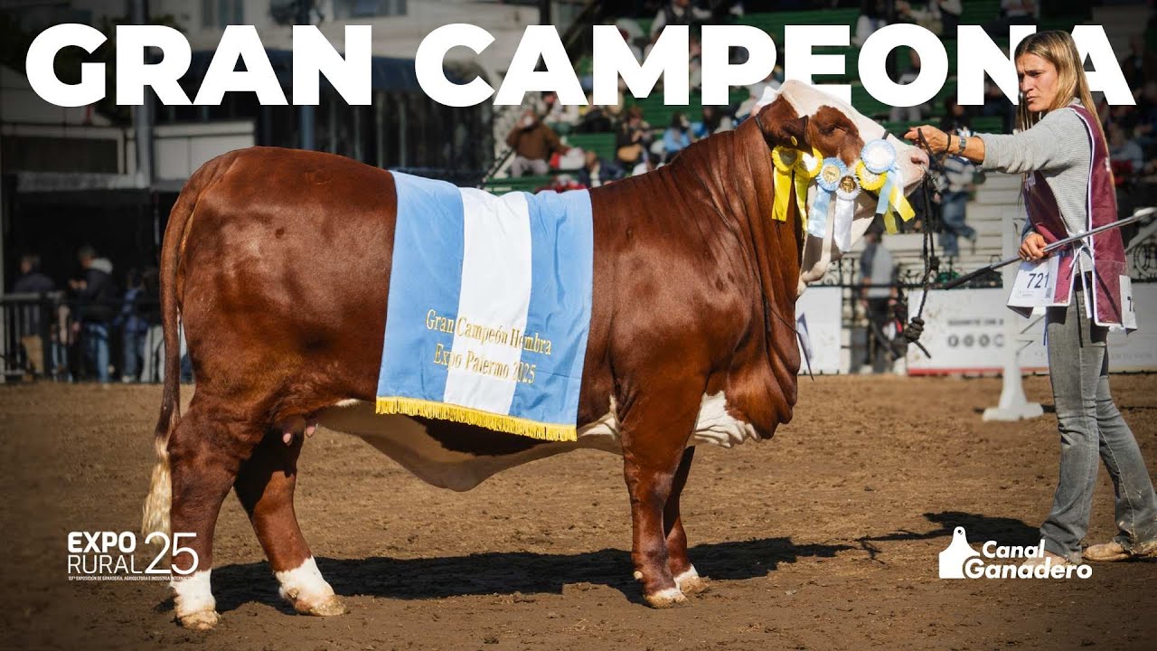 GRAN CAMPEONA HEMBRA BRAFORD PALERMO 2025