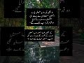 Urdu quotes golden words shorts shorturdu urduquotes youtubeshorts viral ytshorts