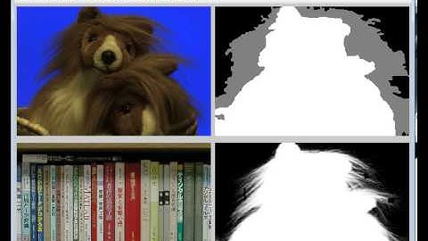 Bayesian Matting - Wei Yang