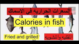 السعرات الحراريه في كل انواع الاسماك Calories in fish